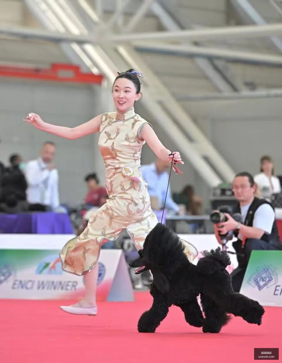 小米电竞手,性能巅峰引,领潮流,开云官网网页版,开云体育,网页版入口,开云官网,体育资讯